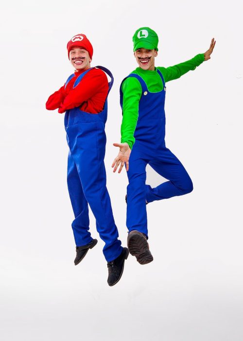 mario luigi animadores