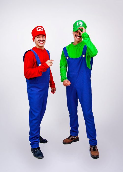 mario-luigi